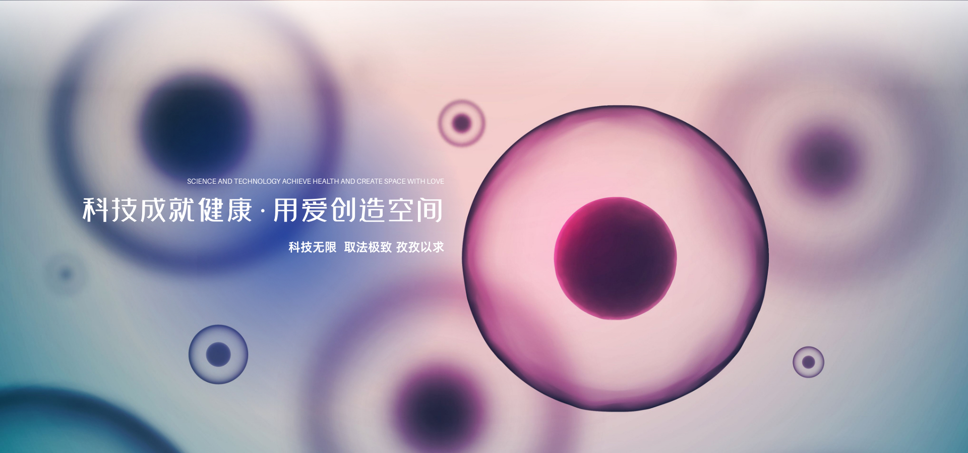 干细胞抗衰老