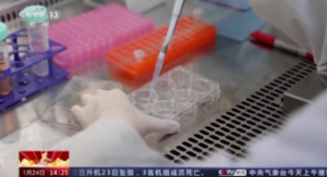 【2023央视新闻】干细胞治疗逐渐成熟并进入临床转化！