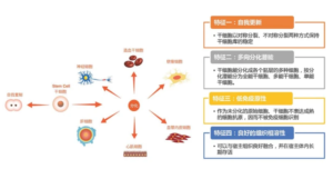 干细胞回输是什么?为什么要回输干细胞? 8 干细胞回输是什么?为什么要回输干细胞?