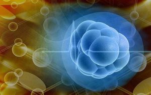 成人去做干细胞存储有必要吗