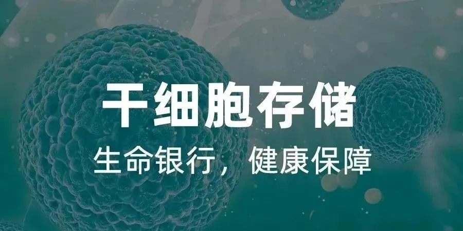 脐带干细胞储存多少钱